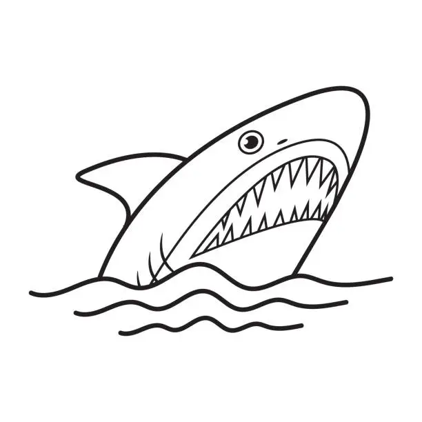 Vector illustration of Shark with open mouth and sharp teeth