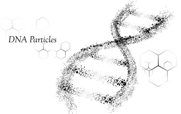 illustrations, cliparts, dessins animés et icônes de adn - dna chromosome genetic research research