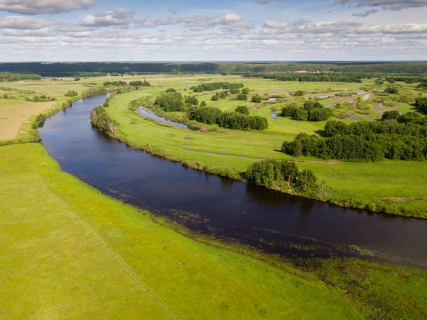 istock Flood meadows near Oka River 1006575356