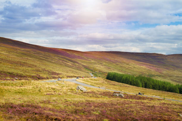 beau paysage de montagne, paysage.  parc national des monts wicklow, comté de wicklow, irlande - national park day yellow republic of ireland photos et images de collection