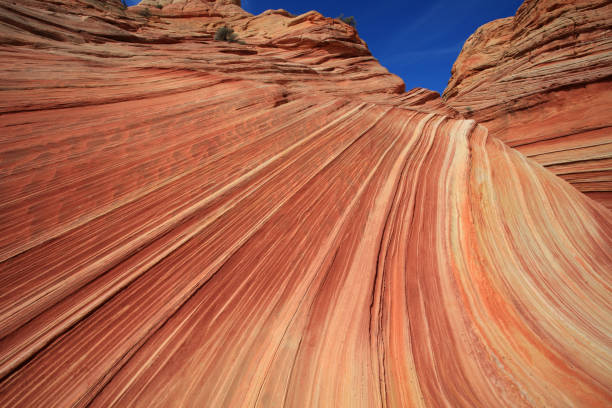 istock Coyote Buttes North, The Wave, Arizona, USA 1006578676