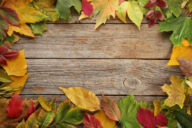 istock Autumn leafs on grey wooden table 1006581590