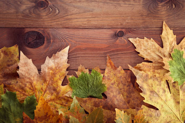istock Autumn leafs on brown wooden table 1006581978