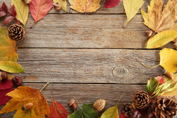 istock Autumn leafs with cones on grey wooden table 1006587694