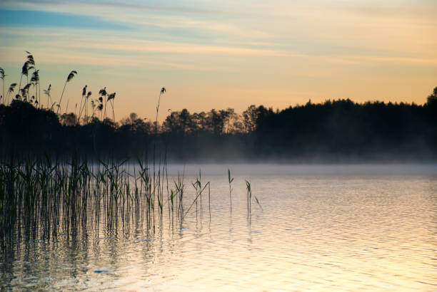istock Sunrise on the Kaitra lake 1006592794