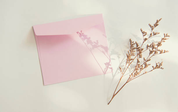 istock Blank white greeting card with flower. for mockup template. vintage tone. 1006592844