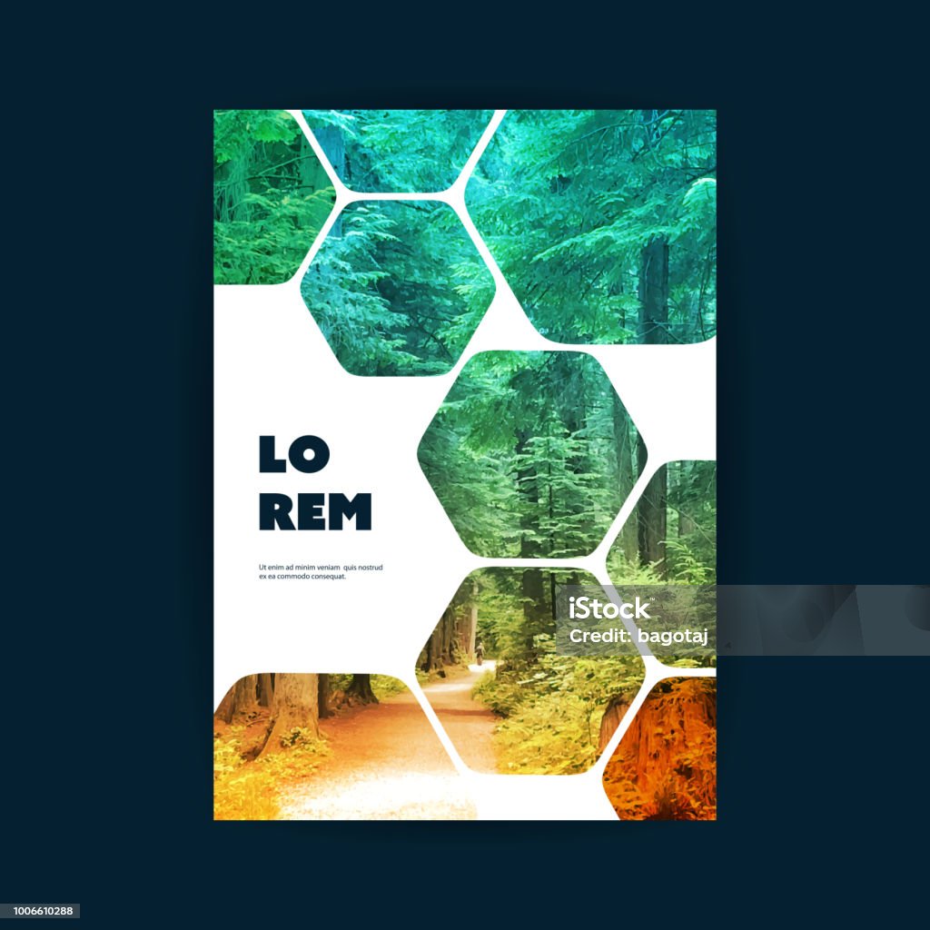 Flyer ou la conception de la couverture - Woodland - clipart vectoriel de Hexagone libre de droits