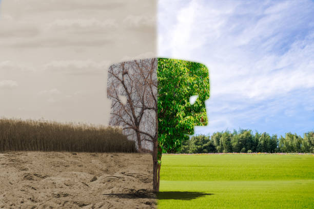 istock Face environment ecology concept change tree forest drought and forest refreshing the 1006611184