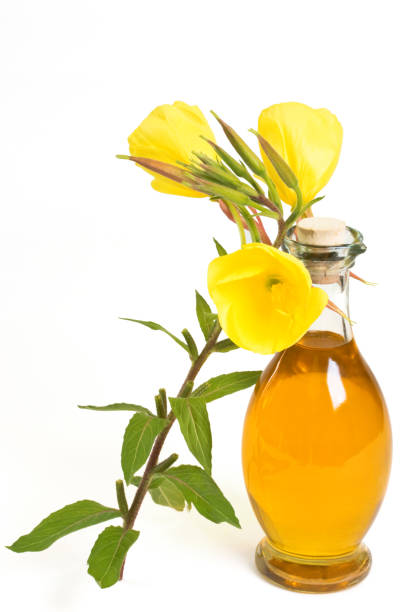 istock oil of evening primroses 1006611946