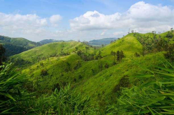 istock Scenic View Of Landscape Against Sky 1006619488