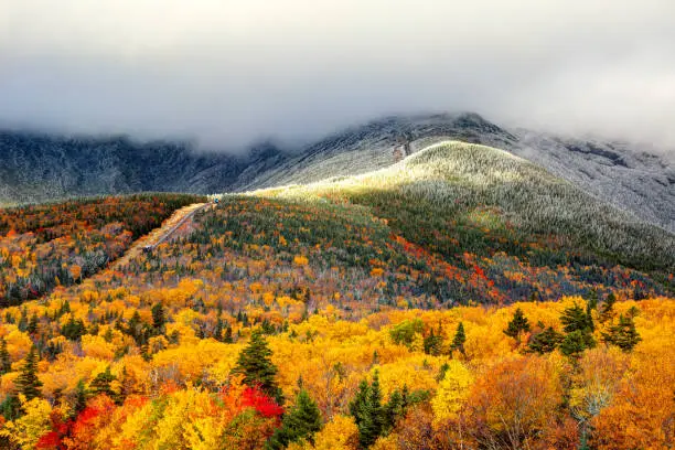 Photo of Autumn foliage and snow on the slopes of Mount Washington