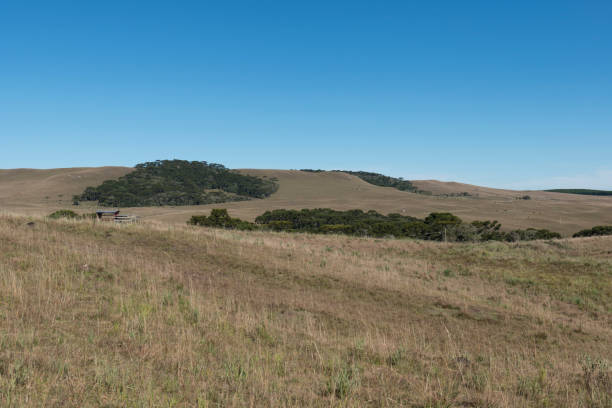 istock Serra Geral, Rio Grande do Sul - Brazil 1006625102
