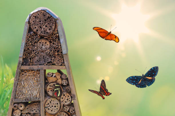 Insect hotel with flying butterflies