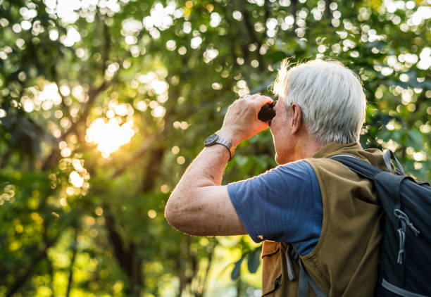 Elderly man watching birds with binoculars Elderly man watching birds with binoculars bird watching photos stock pictures, royalty-free photos & images