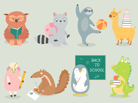Back to school Animal character hand drawn style, education theme. Cute owl, raccoon, sloth, llama, sheep, anteater, penguin, crocodile