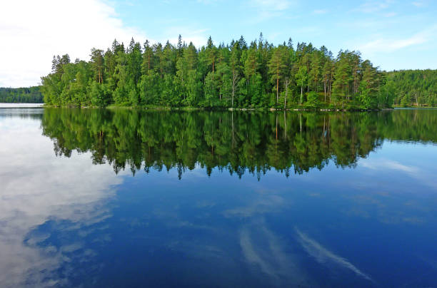istock wooded island at a lake 1006638268