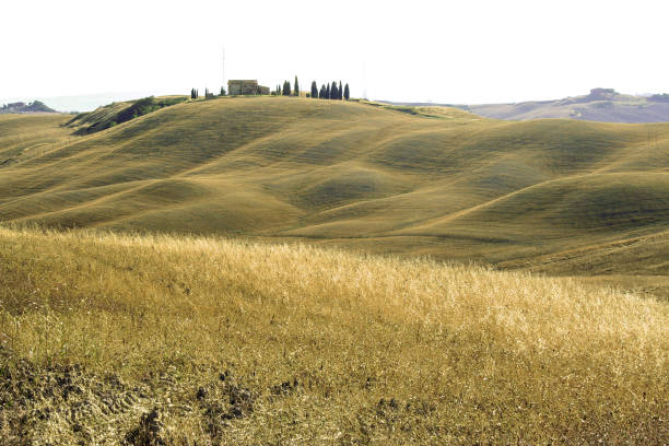 Crete Sienese At San Quirico d'Orcia - Italy - On 08/30/2012- Landscape of crete senesi on summer crete senesi stock pictures, royalty-free photos & images