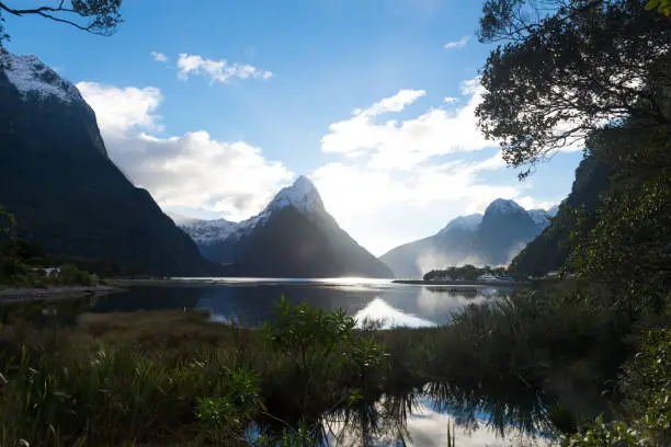 Milford Sound in New Zealand on a bright sunny day