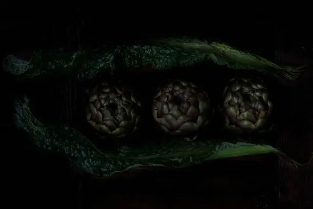 Dark Food photography - carciofo (Cynara scolymus L.)