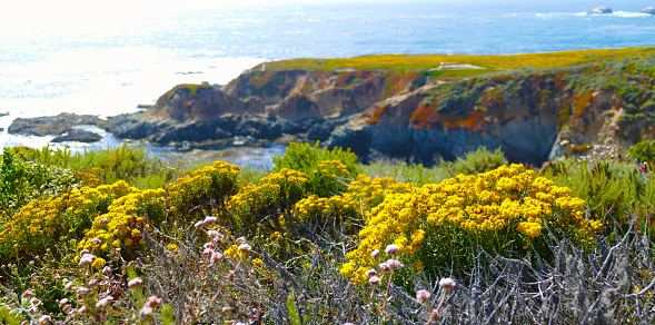 Beautiful rocky coastal landscape at Big Sur, California, USA