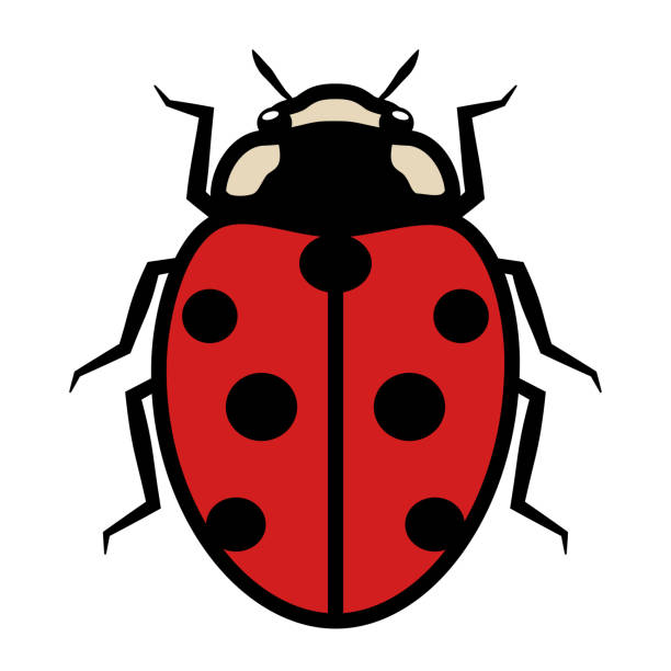 Ladybug Logo Symbol Icon Sign With Seven Black Spots Stock Illustration -  Download Image Now - iStock
