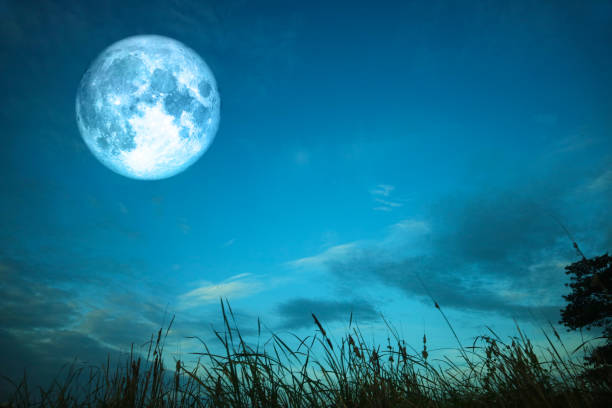 istock full blood moon over silhouette grass and colorful sky 1006674436