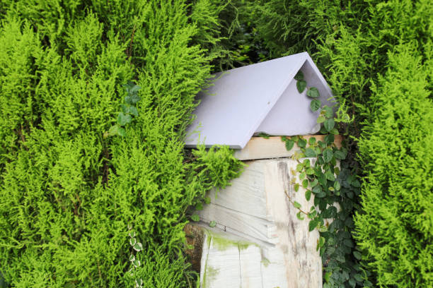 Man Made Bee Hive for farming bee