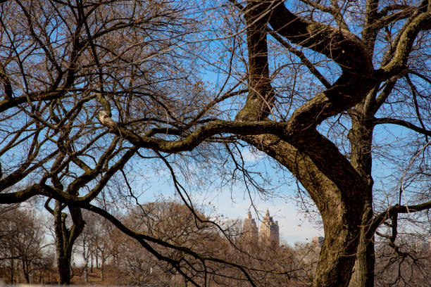 istock Side seeing in beautiful downtown New York City 1006678026