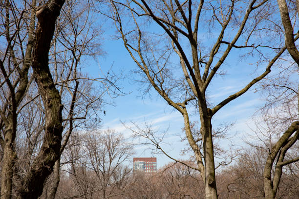 istock Side seeing in beautiful downtown New York City 1006678246
