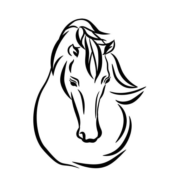 馬の頭のグラフィック テンプレート、白の背景にベクトル画像。 - 障害馬術点のイラスト素材／クリップアート素材／マンガ素材／アイコン素材