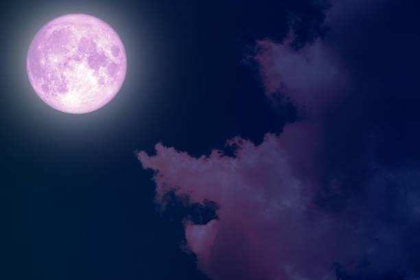 istock super full pink moon back silhouette night sky 1006678380