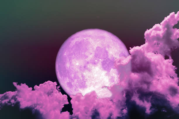 istock super full pink moon back silhouette night magenta sky 1006678446