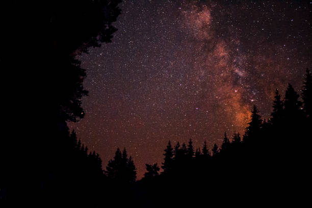 istock The Milky Way over a forest silhouette 1006687364