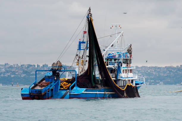 pesca en bote - turkish culture turkey fishing boat fishing fotografías e imágenes de stock