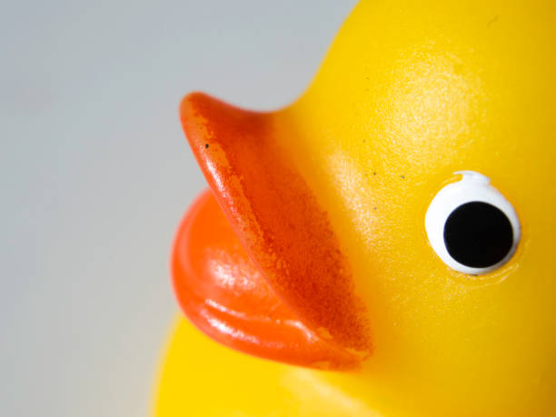 istock rubber yellow duck toy macro 1006690990