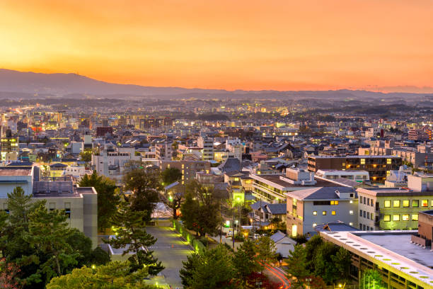 Nara, Japan Skyline Nara, Japan town skyline at twilight from above. nsra stock pictures, royalty-free photos & images