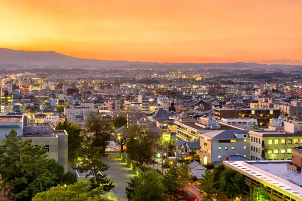 Nara, Japan town skyline at twilight from above.
