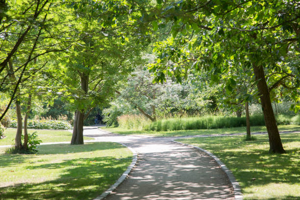 istock Footpath in Botanical Garden; Copenhagen 1006701192