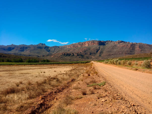 istock Landscape of vineyard and mountains 1006701384