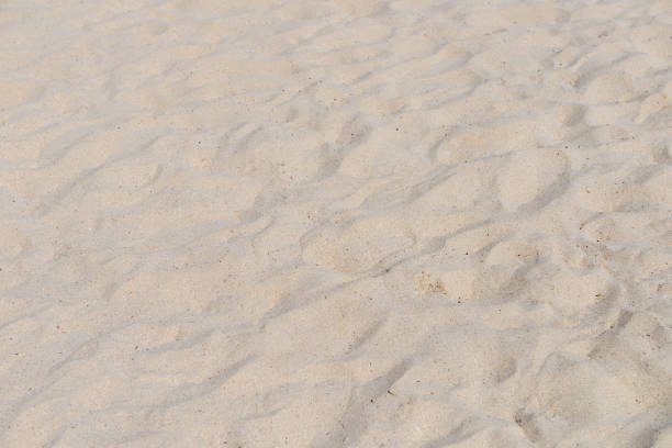 istock beach sand in daylight close-up 1006715984