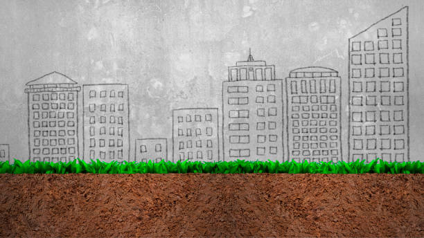 istock Cross section of grass and soil 1006716972