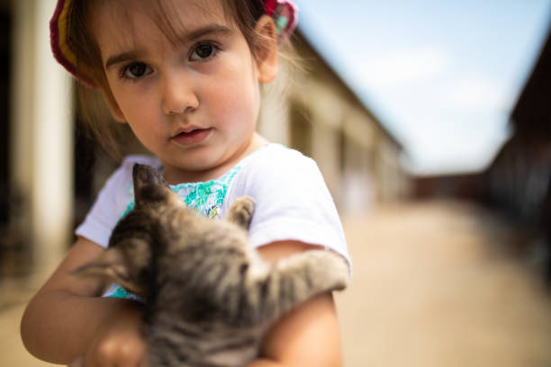 istock Girl playing with a tabby kitten 1006717414