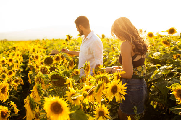 istock Couple enjoying summer time at sunflowers field 1006729738