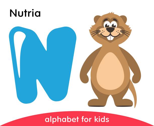 Blue letter N and brown Nutria. English alphabet with animals. Cartoon characters isolated on white background. Flat design. Zoo theme. Colorful vector illustration for kids. nutria rodent animal alphabet stock illustrations