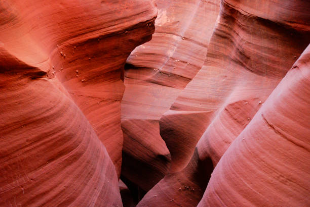 istock Slot canyon texture, sandstone background 1006754156