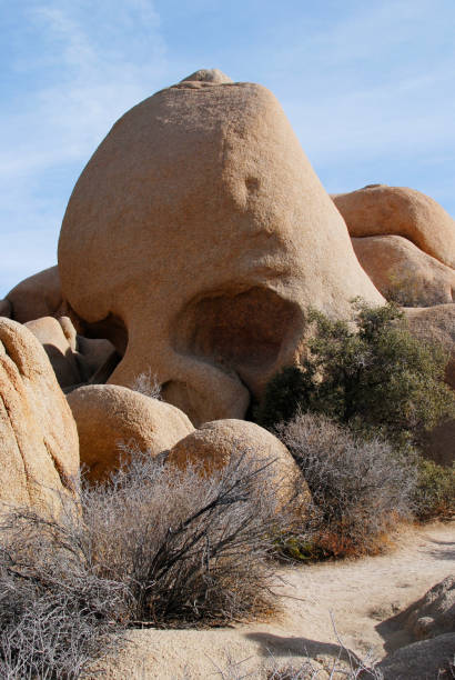 Skull rock formation, Joshua tree National Park, California, USA