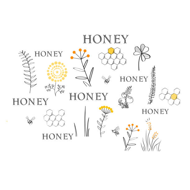 ilustrações de stock, clip art, desenhos animados e ícones de cloud vector background with bees, combs and flowers. - field image computer graphic bee