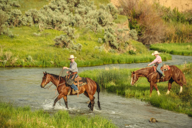 istock Utah ranchers riding across the river 1006770998