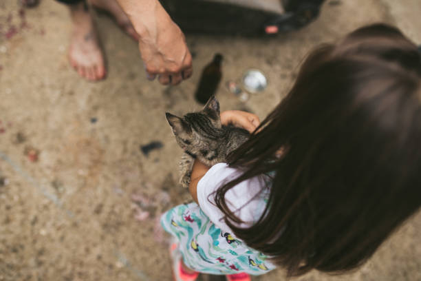 istock Little girl holding a kitten 1006773894