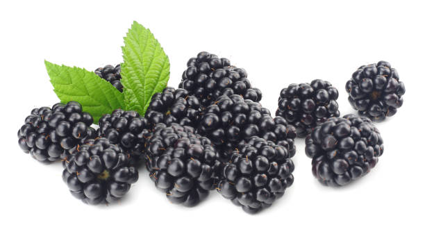 istock blackberries with green leaf isolated on white background. macro 1006781636